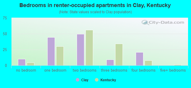 Bedrooms in renter-occupied apartments in Clay, Kentucky