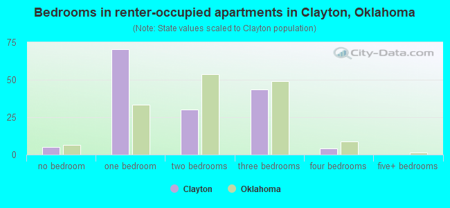 Bedrooms in renter-occupied apartments in Clayton, Oklahoma