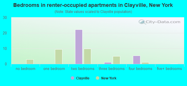 Bedrooms in renter-occupied apartments in Clayville, New York