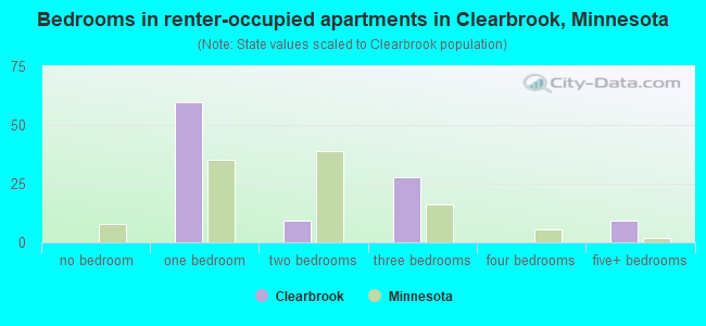 Bedrooms in renter-occupied apartments in Clearbrook, Minnesota