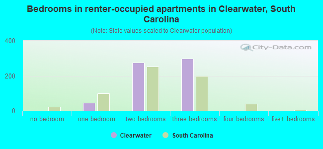 Bedrooms in renter-occupied apartments in Clearwater, South Carolina