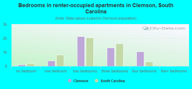 Bedrooms in renter-occupied apartments in Clemson, South Carolina