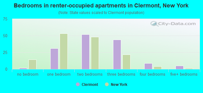Bedrooms in renter-occupied apartments in Clermont, New York