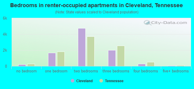 Bedrooms in renter-occupied apartments in Cleveland, Tennessee
