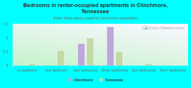 Bedrooms in renter-occupied apartments in Clinchmore, Tennessee