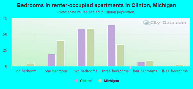 Bedrooms in renter-occupied apartments in Clinton, Michigan