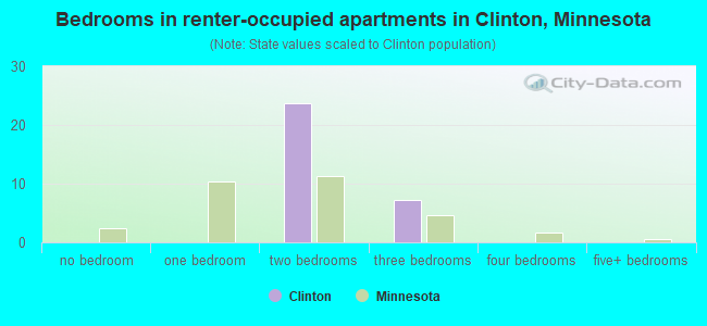 Bedrooms in renter-occupied apartments in Clinton, Minnesota