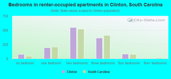 Bedrooms in renter-occupied apartments in Clinton, South Carolina