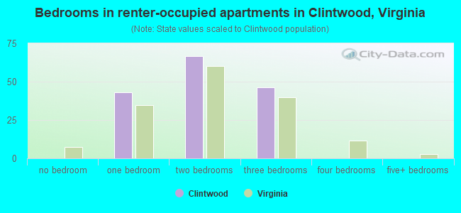 Bedrooms in renter-occupied apartments in Clintwood, Virginia