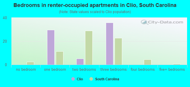 Bedrooms in renter-occupied apartments in Clio, South Carolina