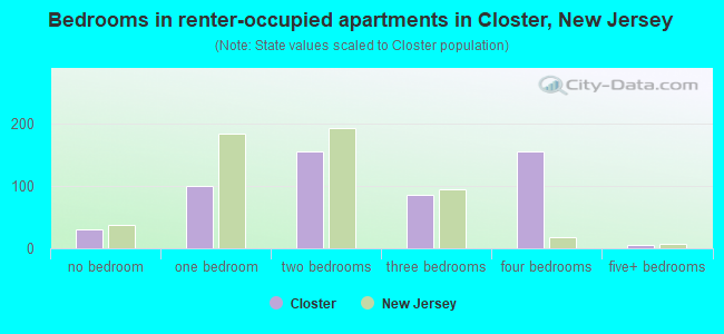 Bedrooms in renter-occupied apartments in Closter, New Jersey