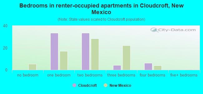 Bedrooms in renter-occupied apartments in Cloudcroft, New Mexico