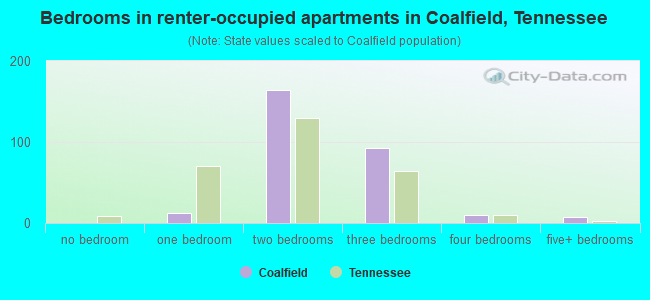 Bedrooms in renter-occupied apartments in Coalfield, Tennessee