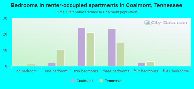 Bedrooms in renter-occupied apartments in Coalmont, Tennessee