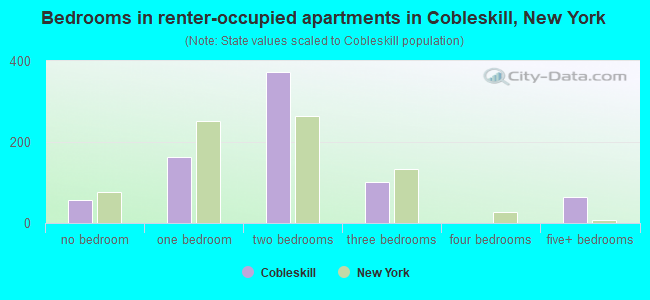 Bedrooms in renter-occupied apartments in Cobleskill, New York