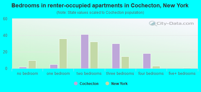 Bedrooms in renter-occupied apartments in Cochecton, New York