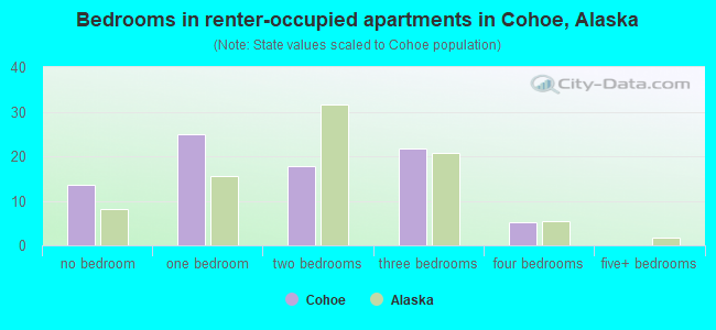 Bedrooms in renter-occupied apartments in Cohoe, Alaska