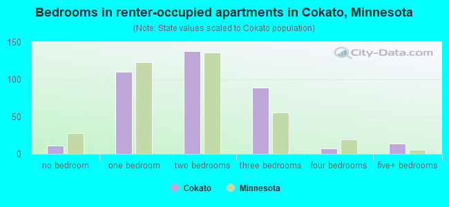 Bedrooms in renter-occupied apartments in Cokato, Minnesota