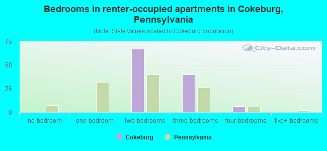 Bedrooms in renter-occupied apartments in Cokeburg, Pennsylvania