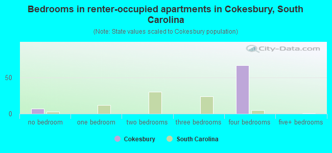 Bedrooms in renter-occupied apartments in Cokesbury, South Carolina