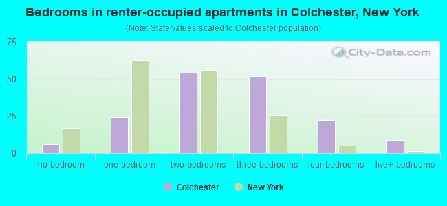 Bedrooms in renter-occupied apartments in Colchester, New York