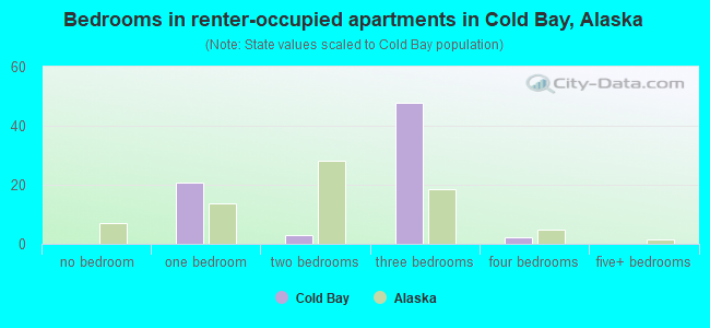 Bedrooms in renter-occupied apartments in Cold Bay, Alaska