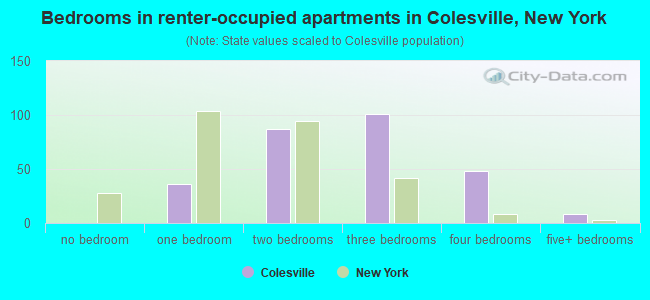 Bedrooms in renter-occupied apartments in Colesville, New York