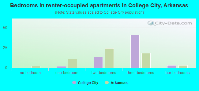 Bedrooms in renter-occupied apartments in College City, Arkansas