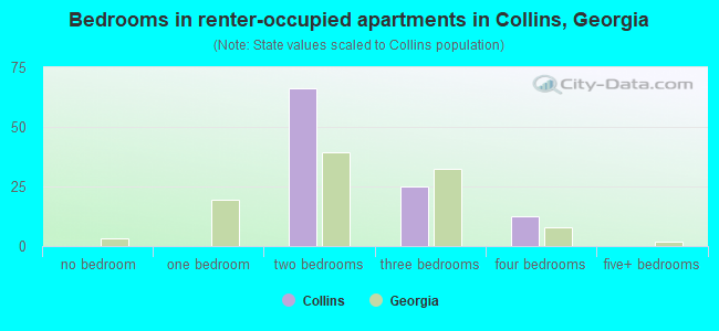 Bedrooms in renter-occupied apartments in Collins, Georgia