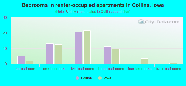 Bedrooms in renter-occupied apartments in Collins, Iowa