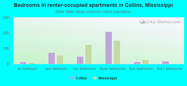 Bedrooms in renter-occupied apartments in Collins, Mississippi