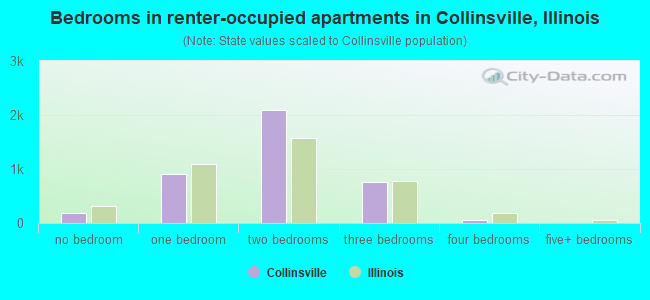 Bedrooms in renter-occupied apartments in Collinsville, Illinois