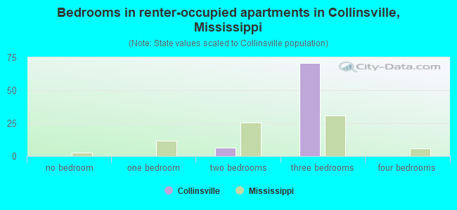Bedrooms in renter-occupied apartments in Collinsville, Mississippi