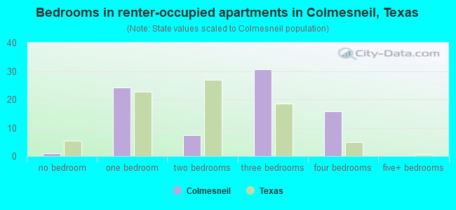 Bedrooms in renter-occupied apartments in Colmesneil, Texas