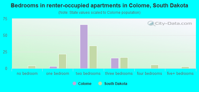 Bedrooms in renter-occupied apartments in Colome, South Dakota