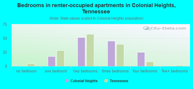 Bedrooms in renter-occupied apartments in Colonial Heights, Tennessee