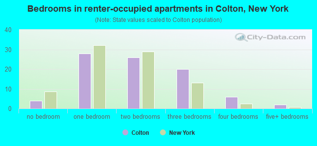 Bedrooms in renter-occupied apartments in Colton, New York