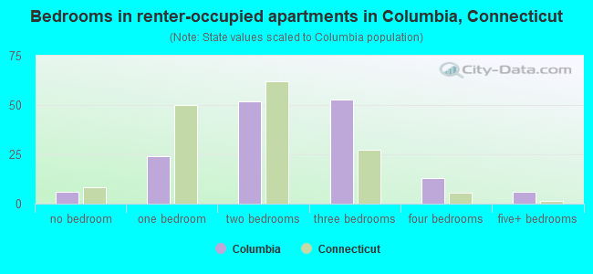 Bedrooms in renter-occupied apartments in Columbia, Connecticut