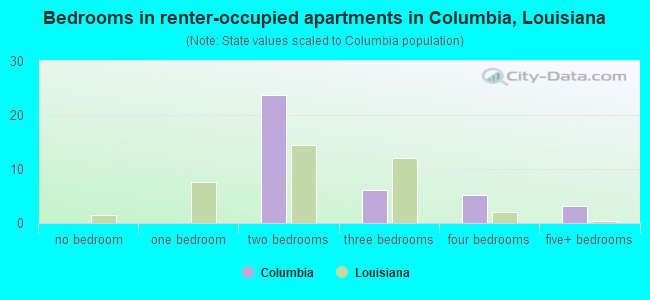 Bedrooms in renter-occupied apartments in Columbia, Louisiana