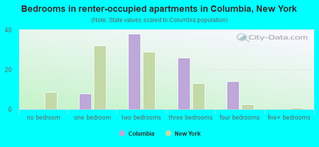 Bedrooms in renter-occupied apartments in Columbia, New York