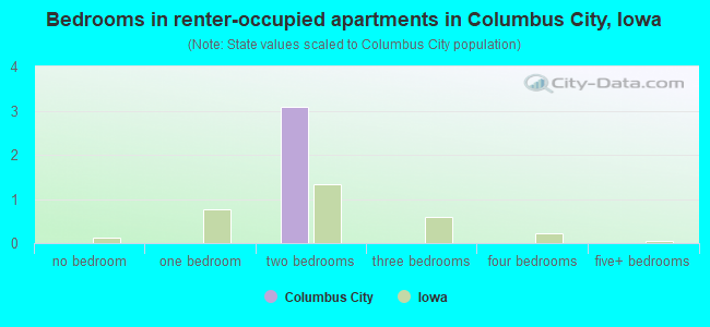 Bedrooms in renter-occupied apartments in Columbus City, Iowa