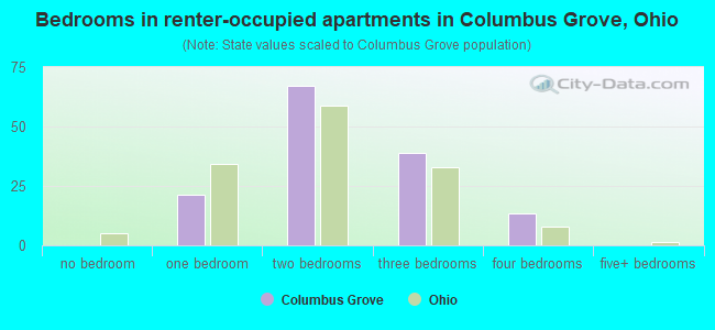 Bedrooms in renter-occupied apartments in Columbus Grove, Ohio