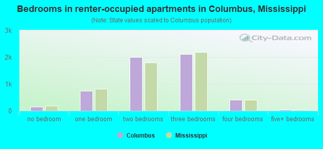 Bedrooms in renter-occupied apartments in Columbus, Mississippi