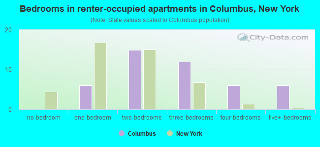 Bedrooms in renter-occupied apartments in Columbus, New York