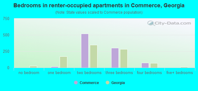 Bedrooms in renter-occupied apartments in Commerce, Georgia