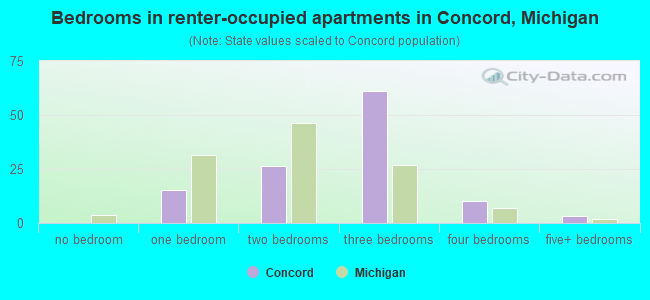 Bedrooms in renter-occupied apartments in Concord, Michigan