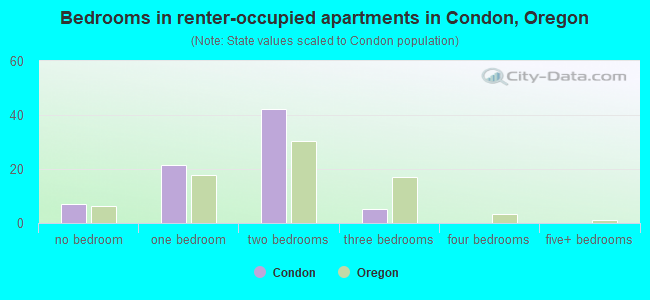Bedrooms in renter-occupied apartments in Condon, Oregon