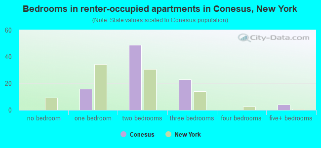 Bedrooms in renter-occupied apartments in Conesus, New York