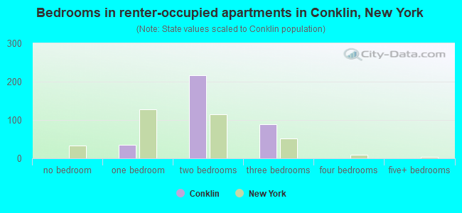 Bedrooms in renter-occupied apartments in Conklin, New York