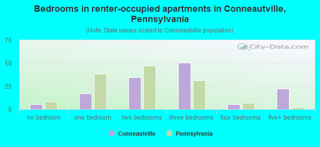 Bedrooms in renter-occupied apartments in Conneautville, Pennsylvania